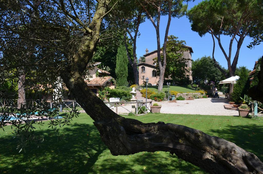 Bed & Breakfast Parco Delle Nazioni - Relax Grand 3*