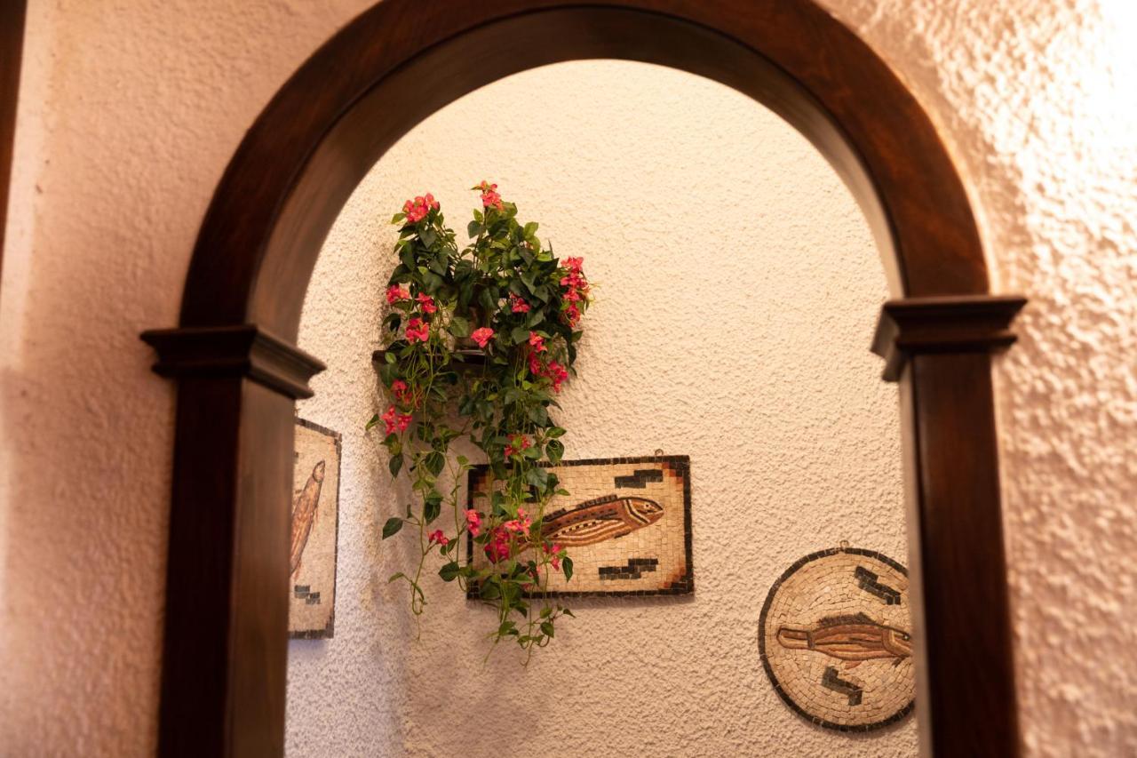 Bed & Breakfast Parco Delle Nazioni - Relax Grand 3*