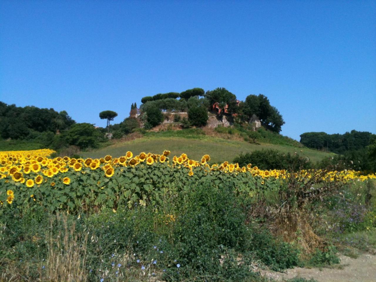 Parco Delle Nazioni - Relax Grand Bed & Breakfast